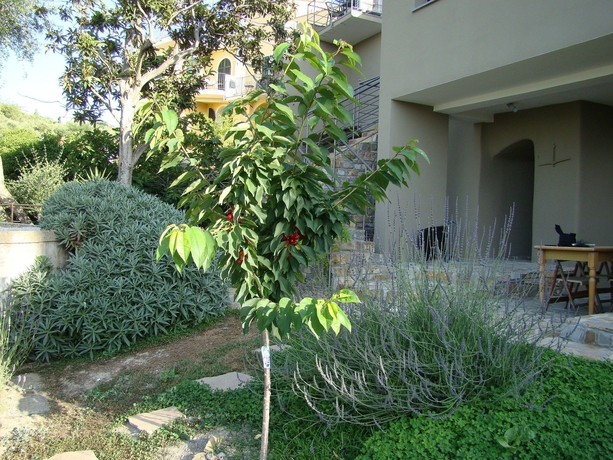 I Valloni Apartments
