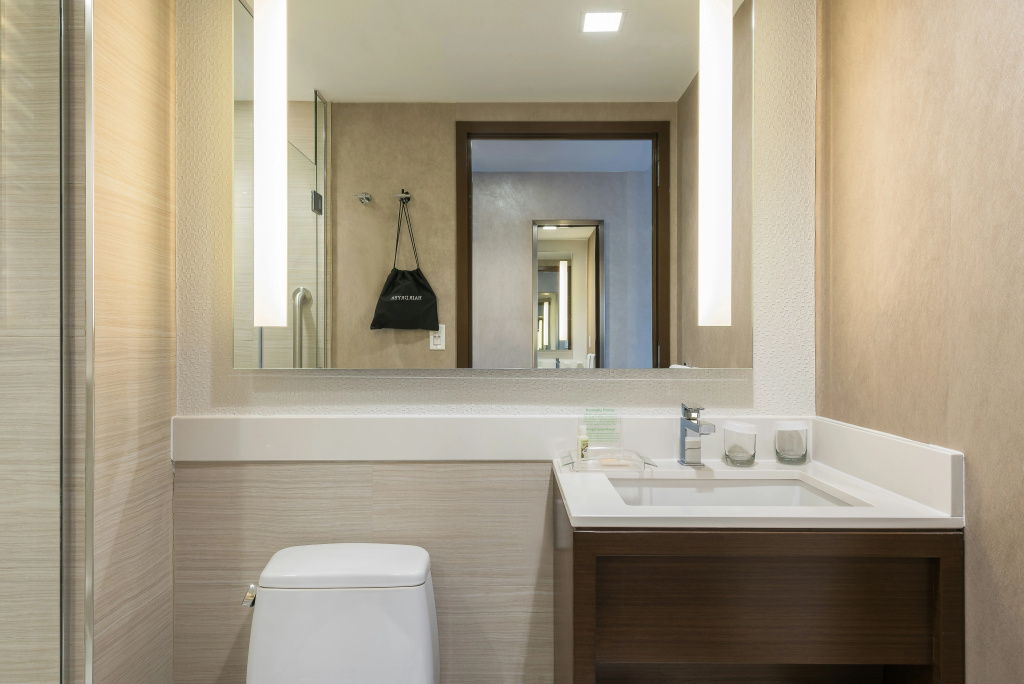 Holiday Inn Brooklyn Downtown by IHG