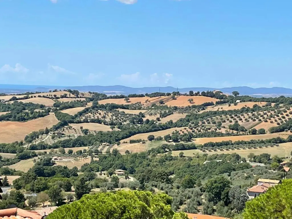 Appartamento indipendente vista unica