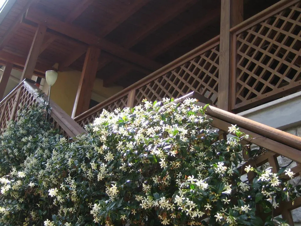 La Casa di Ulisse B&B