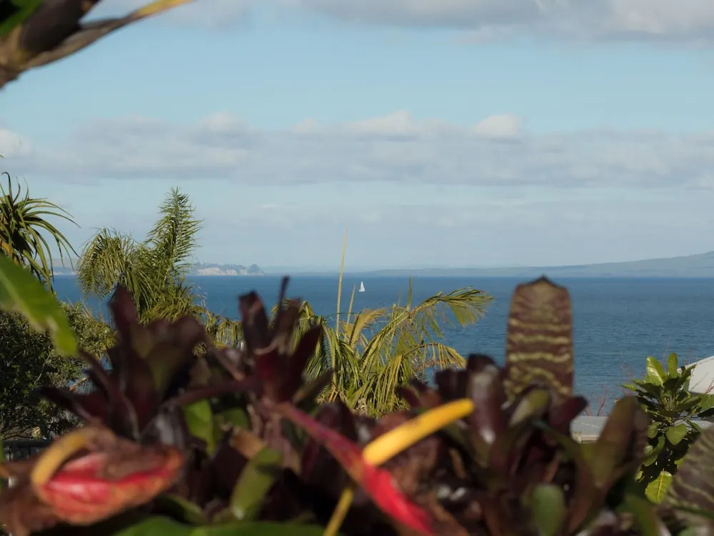 Peninsula Stay Apartments - Pohutukawa and Nikau