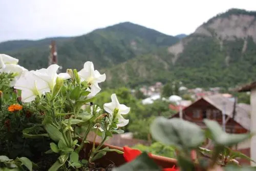 Guja's Guest House
