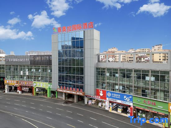 Fiona International Hotel (New DNA Branch, Kuiqi Road Subway Station, Foshan)