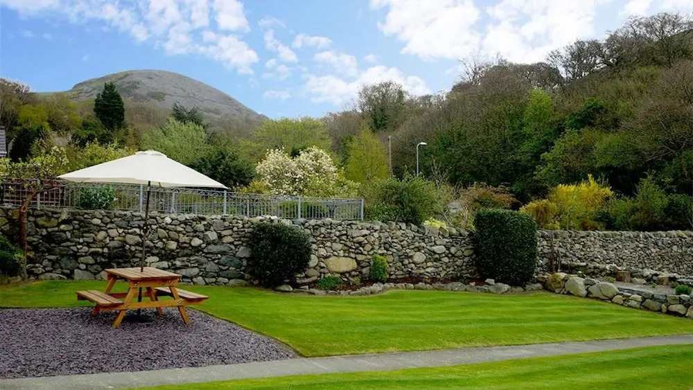 Ciltreflys
