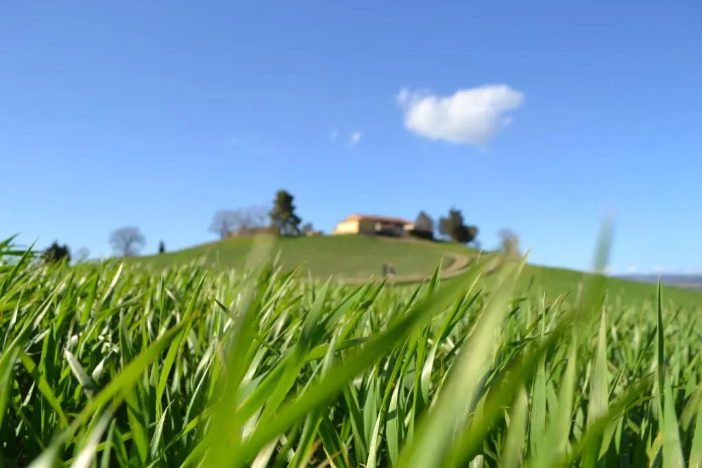 Poggio alla Pietra 26