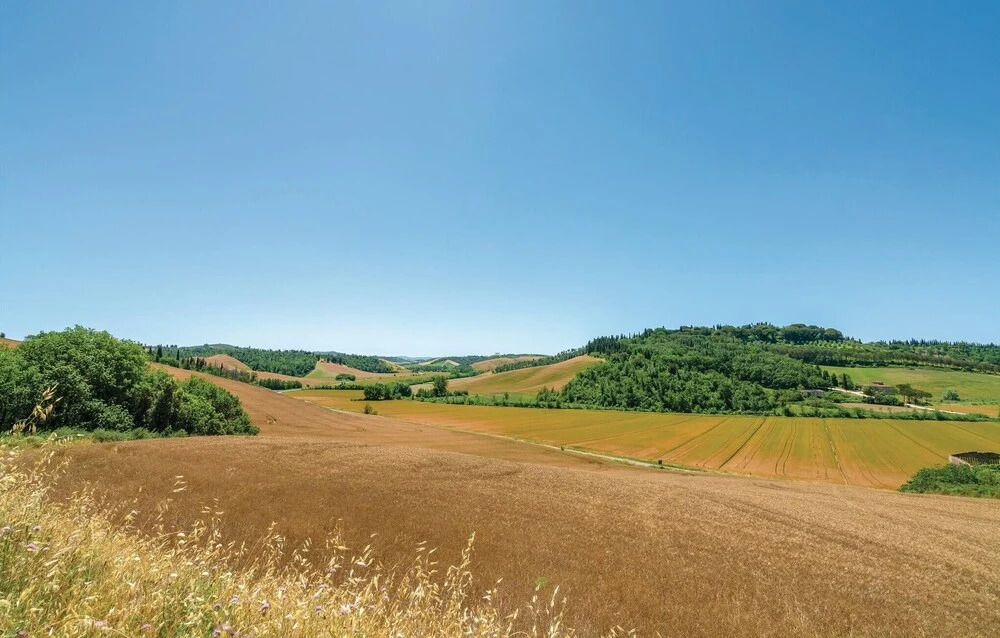 Trebbiano 4