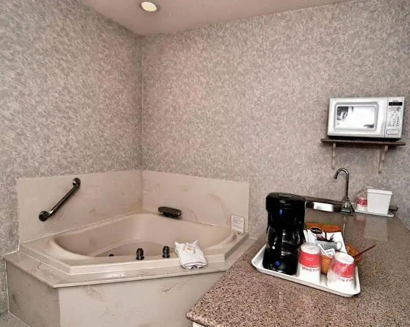 Ramada Limited San Francisco Airport West San Brun