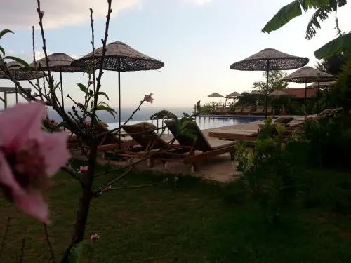 Olive Garden Kabak