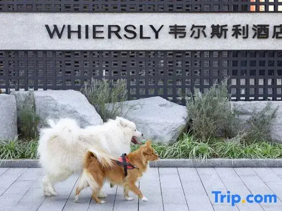Whiersly Meixihu