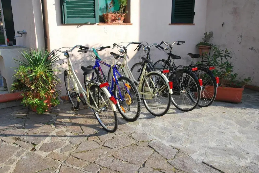 Complesso Mediterraneo