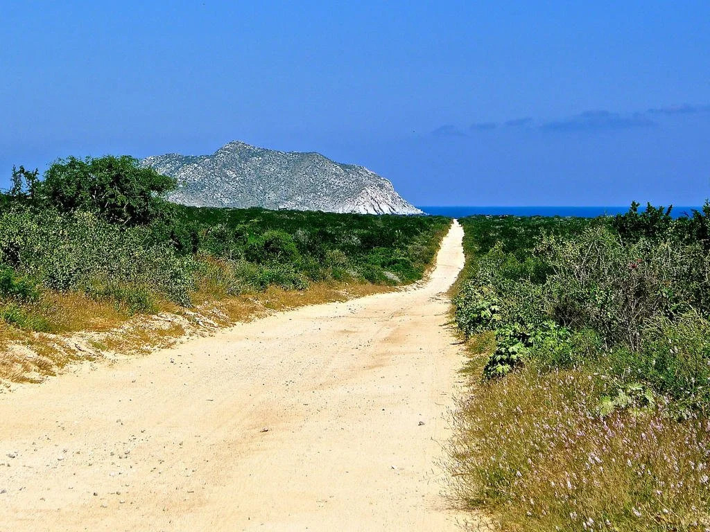 Vidasoul