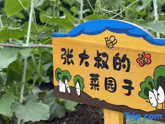Jian Shan Ju Homestay