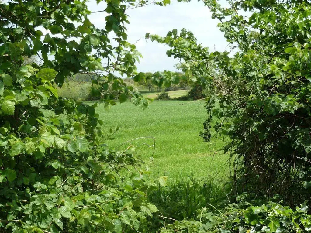 Hunston Mill Cottages Self Catering Dogs Stay For Free