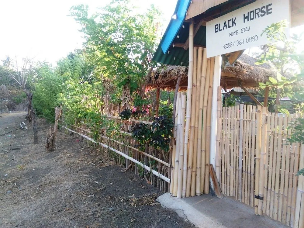 Black Horse Meno