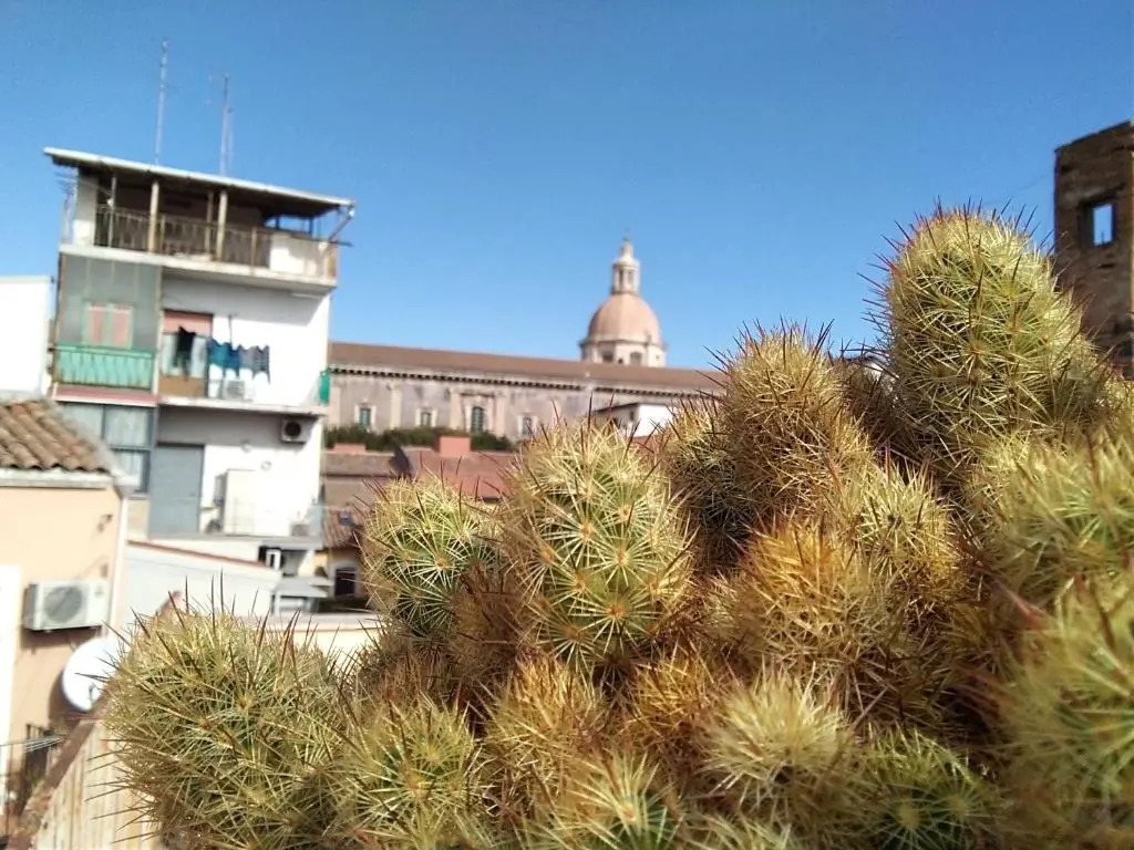 Casa Romans, Via della Palma, 63