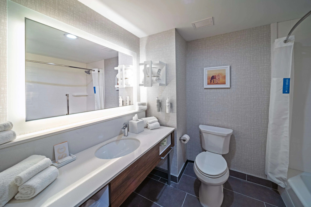 Hampton Inn & Suites Canyon, Tx