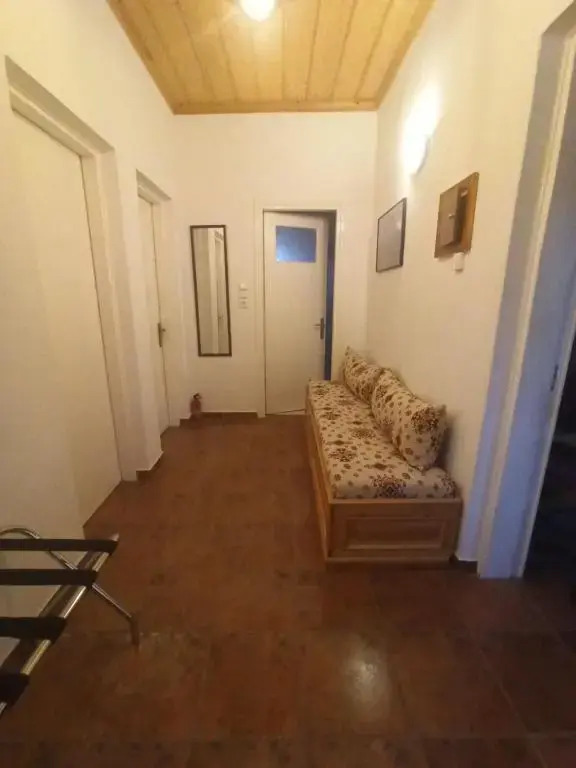 ELLI΄S HOUSE ΣΥΓΧΡΟΝΟ ΣΠΙΤΙ ΣΤΑ ΠΡΑΜΑΝΤΑ