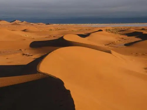 Bivouac Mhamid