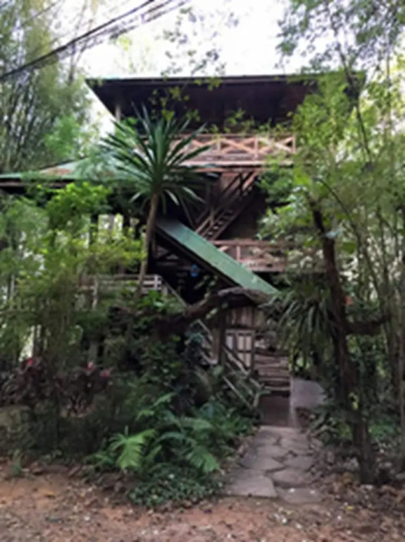 Momchailai Forest Retreat