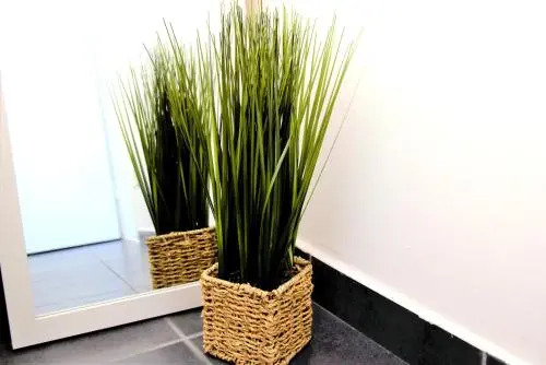 Rab City Apartment Greeny