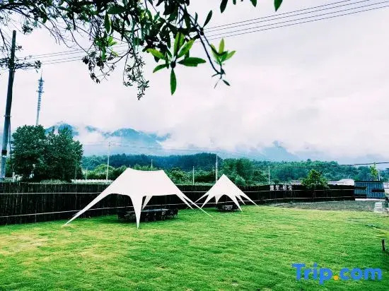Lushin Hotels&Resorts