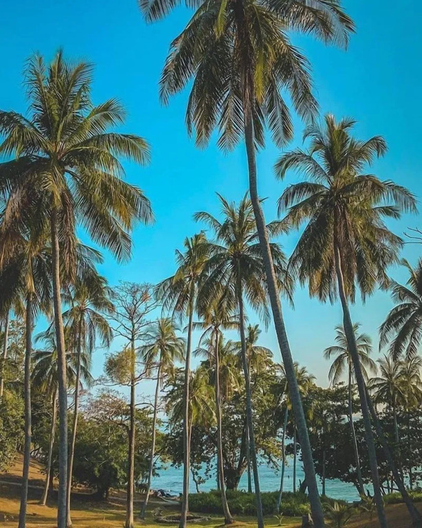 Bambooraya Villa