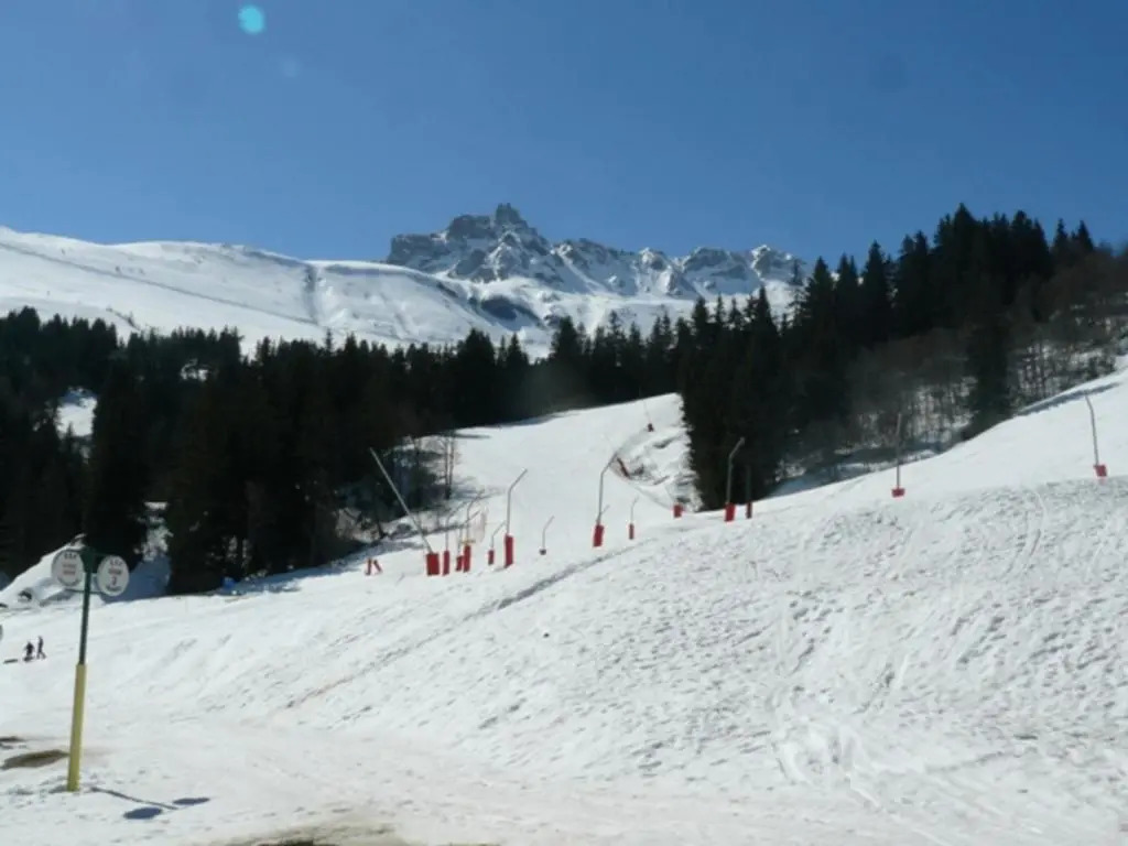 Appartement Valmorel, 1 pièce, 2 personnes - FR-1-356-349
