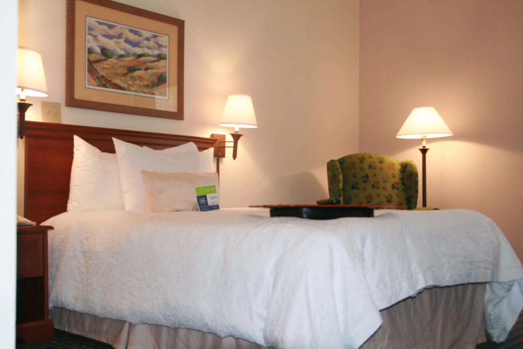 Hampton Inn Hotel Atlanta-Southlake