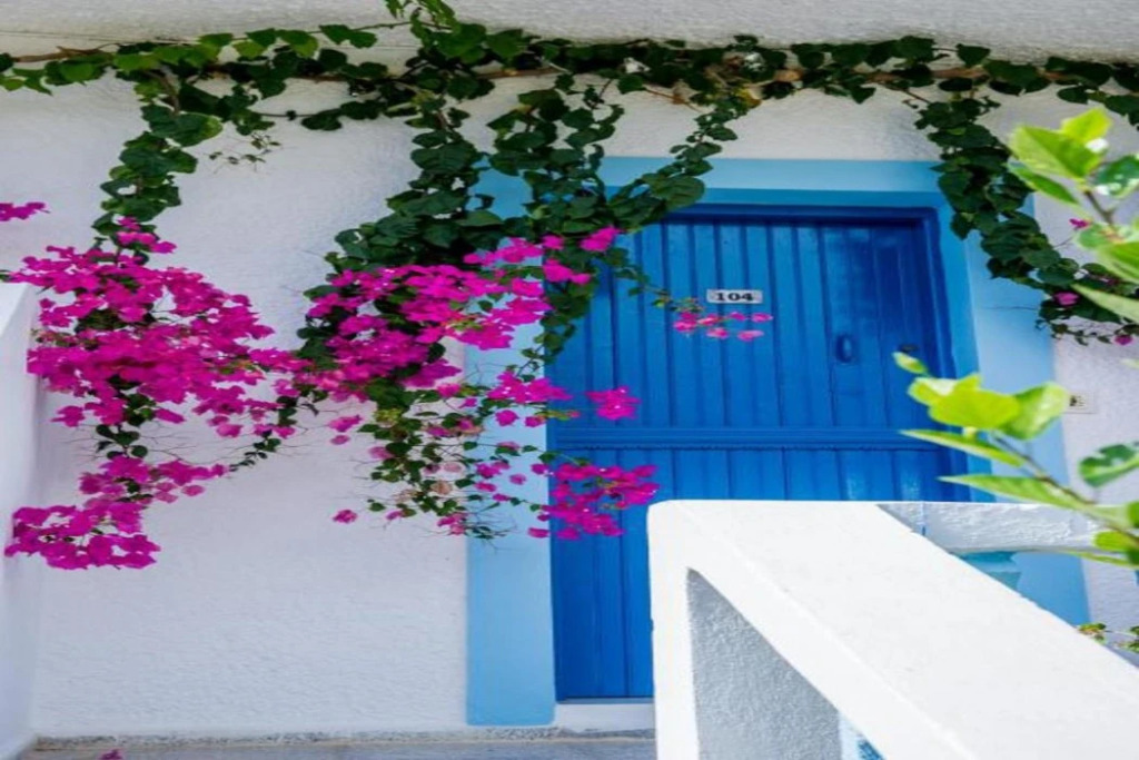 Blue Swan Studios