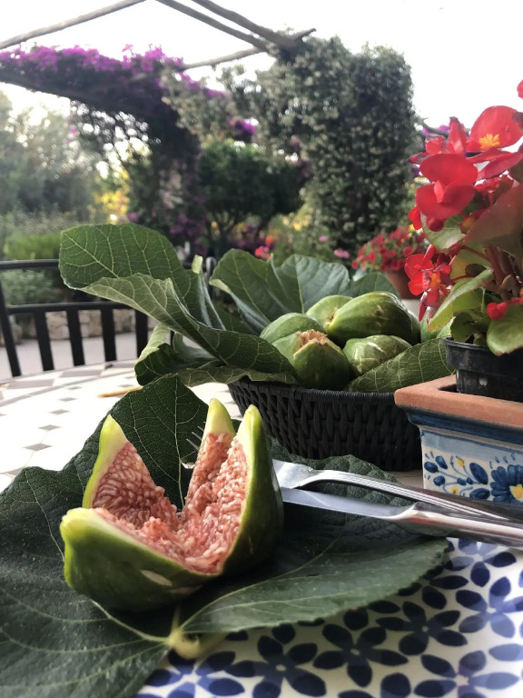 Hotel Al Mulino - Mediterranean Garden Retreat in AnaCapri