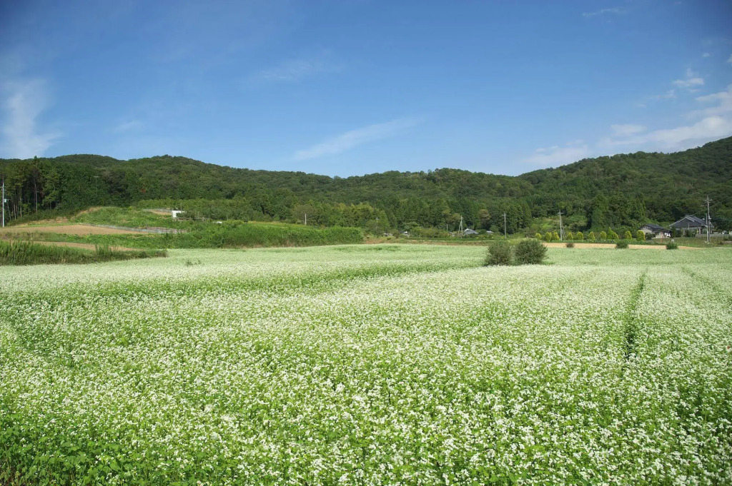Mashikokan Satoyama Resort Hotel