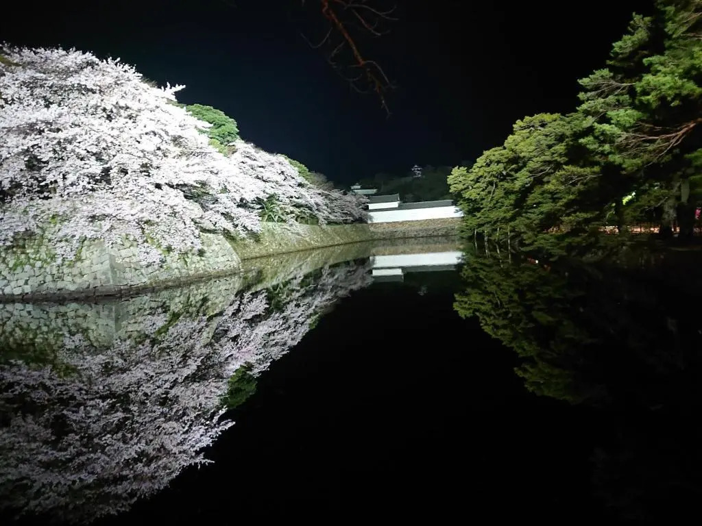 Lapus Honmachi No.200 / Vacation STAY 57908