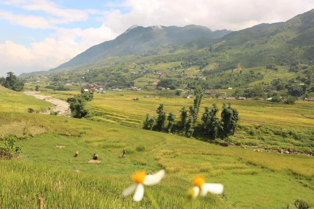 SaPa Farmer House