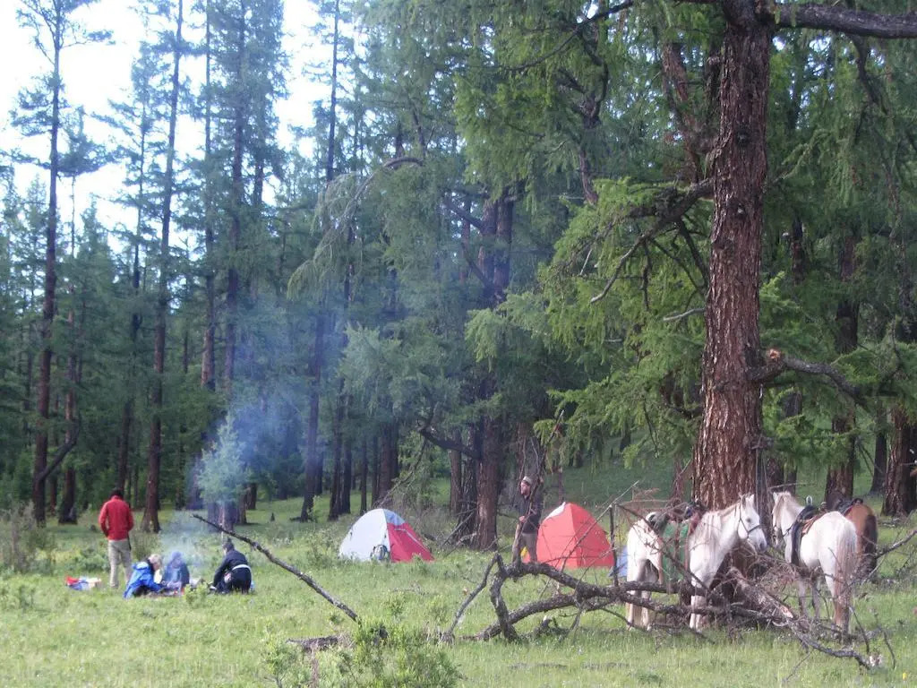Top Tour & Guesthouse Mongolia