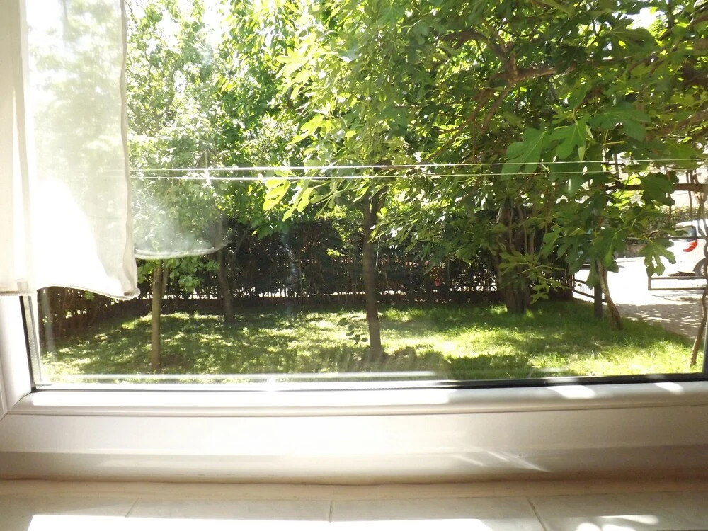 Three Bedroom Apartment With Garden