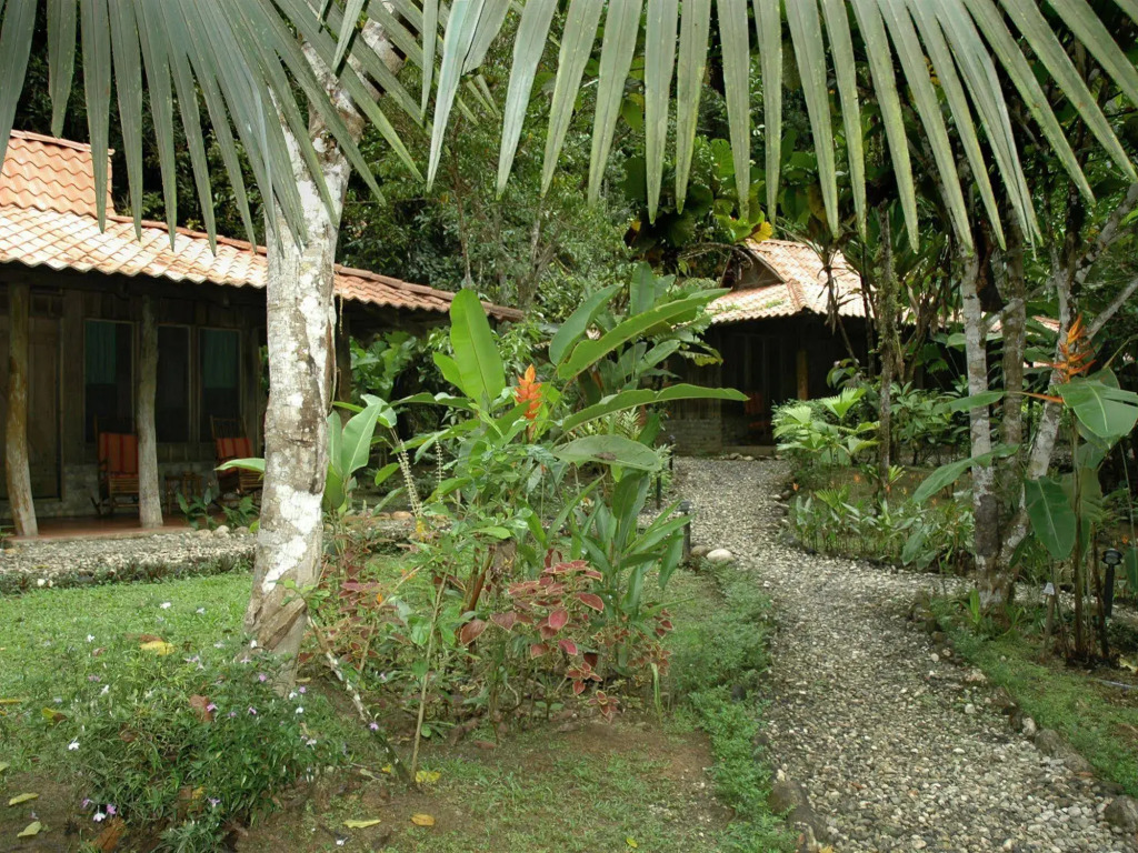 Hotel La Gamba Rainforest Lodge
