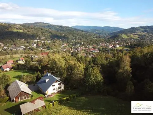 Zielone Wzgórze
