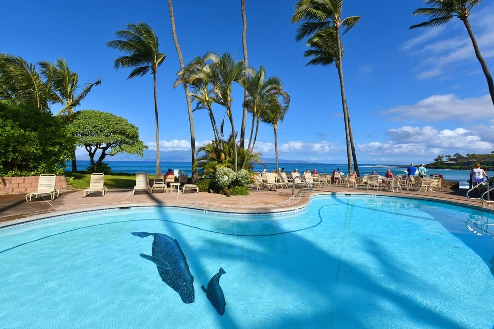 Napili Shores D227 Studio Bedroom 1 Bathroom Condo