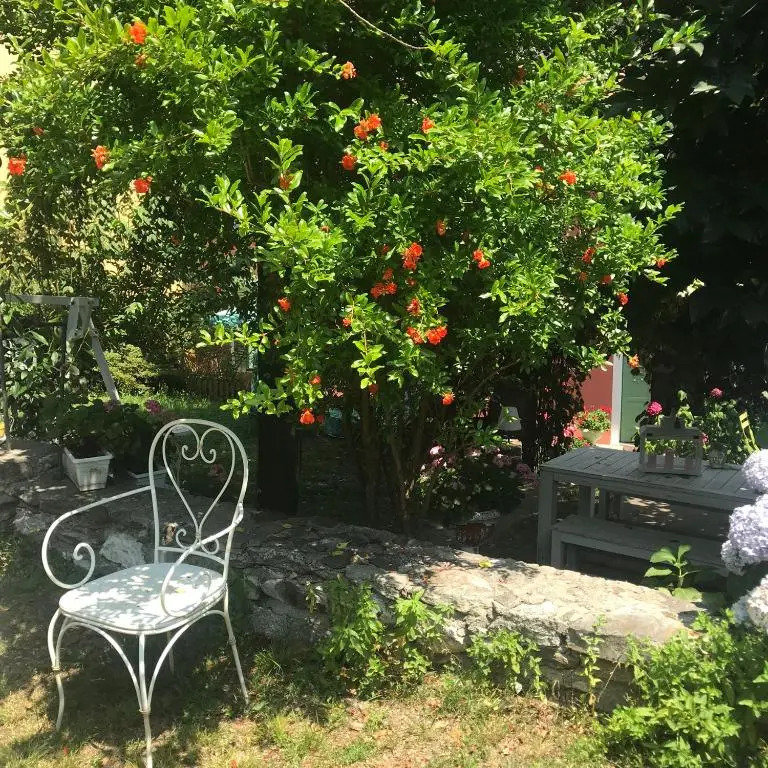 THE SECRET GARDEN ARONA VILLA in Piazza del Popolo 16 Historical Center
