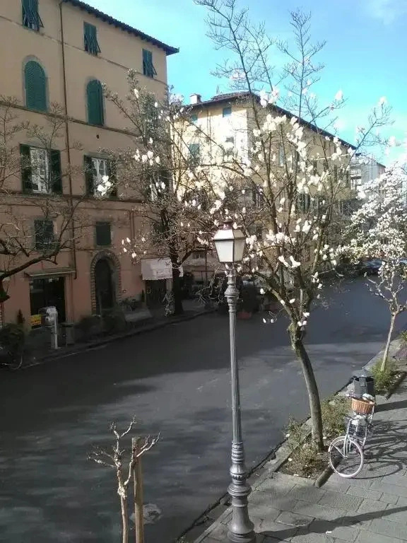 Suite Sofia