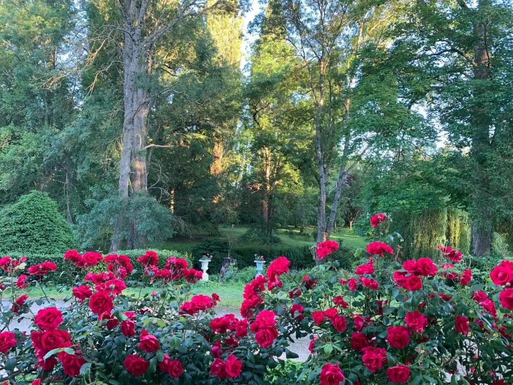 Domaine du moulin de la plaine