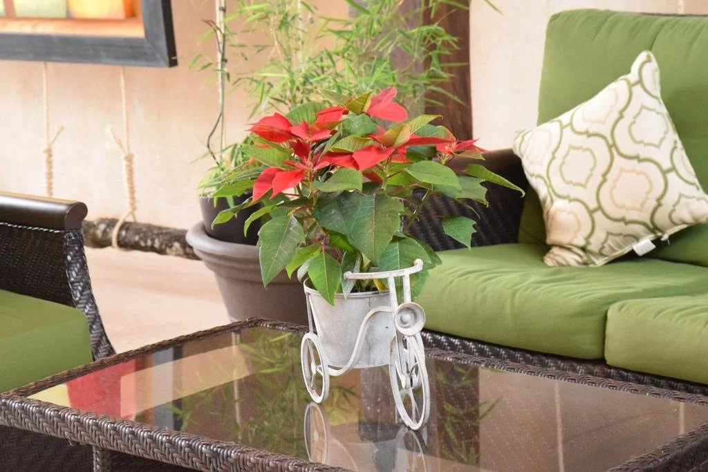 Hotel Galeria