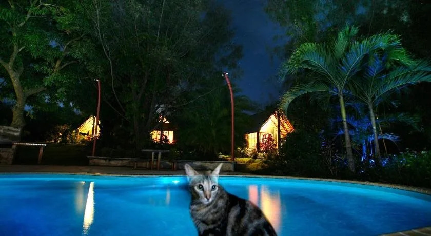 Atiu Villas