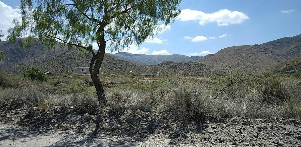 San Isidro Cabaña
