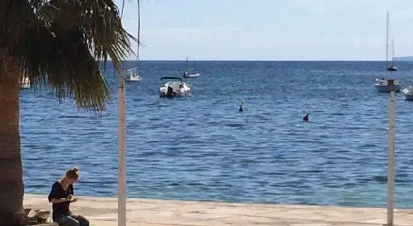 Los Cedros