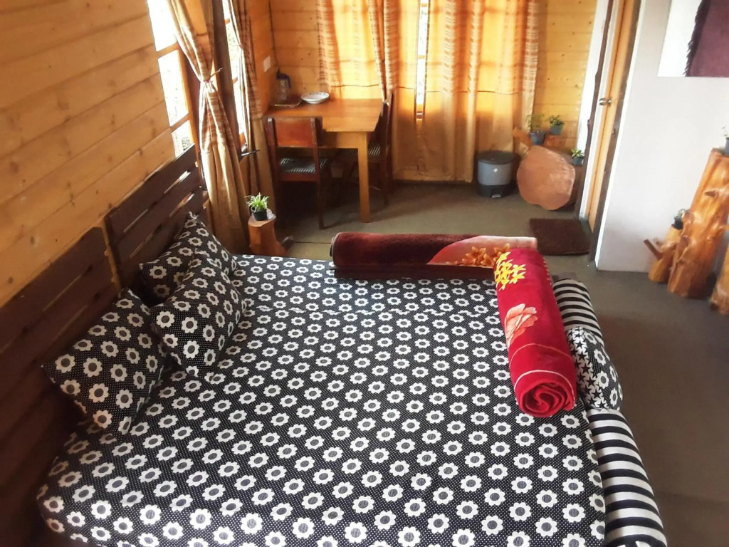 20/20 wood cabana