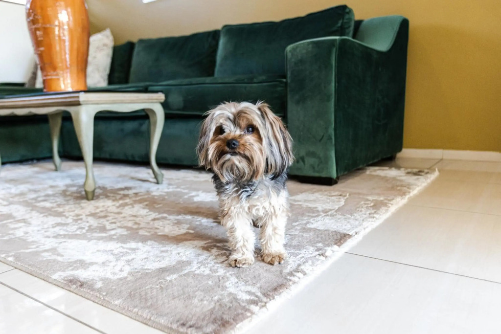 Fleur de Lis Boutique Accommodation