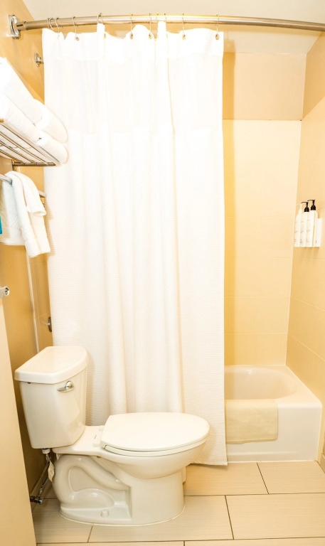 Springhill Suites by Marriott San Antonio Alamo Plaza/Convention Center