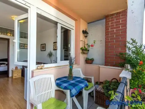Apartment Bilic
