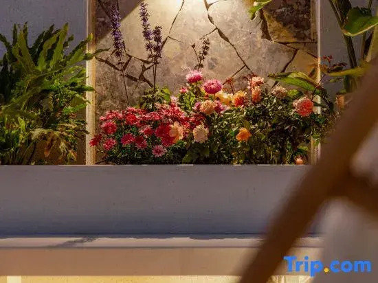 Jane Aisong Style Aesthetic Vacation Courtyard (the Old Town of Lijiang Store)
